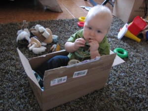 Noah Package